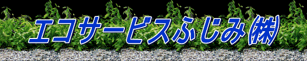 GRT[rXӂ݇ 